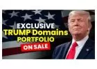 TrumpTickets.com, TrumpNewsUSA.com Plus 20 Trump Domains For Sale